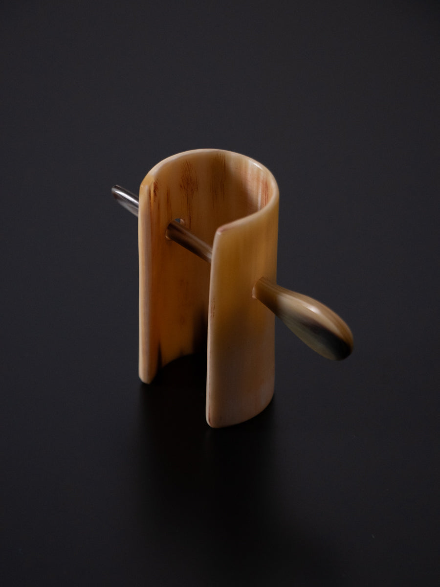 Horn & Hairclip with stick