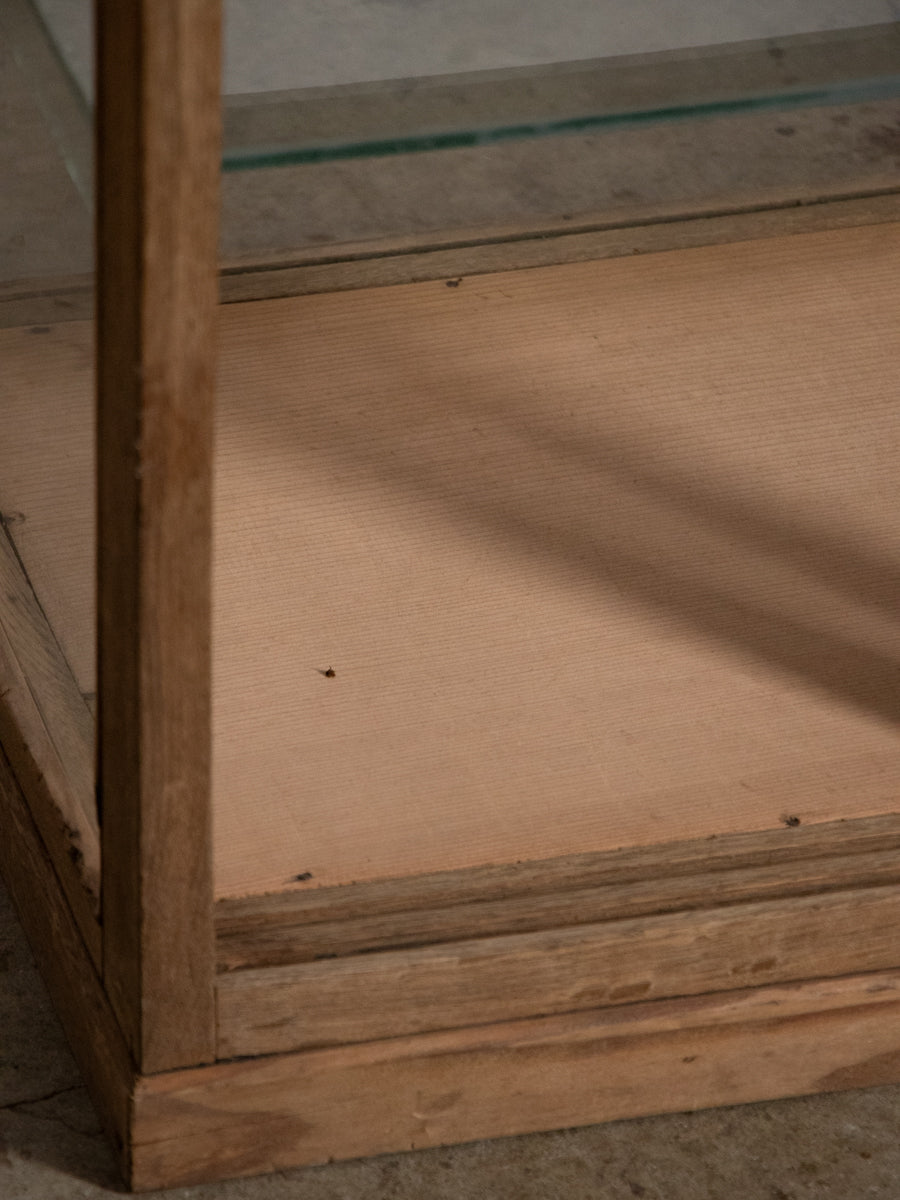 小さなショーケース