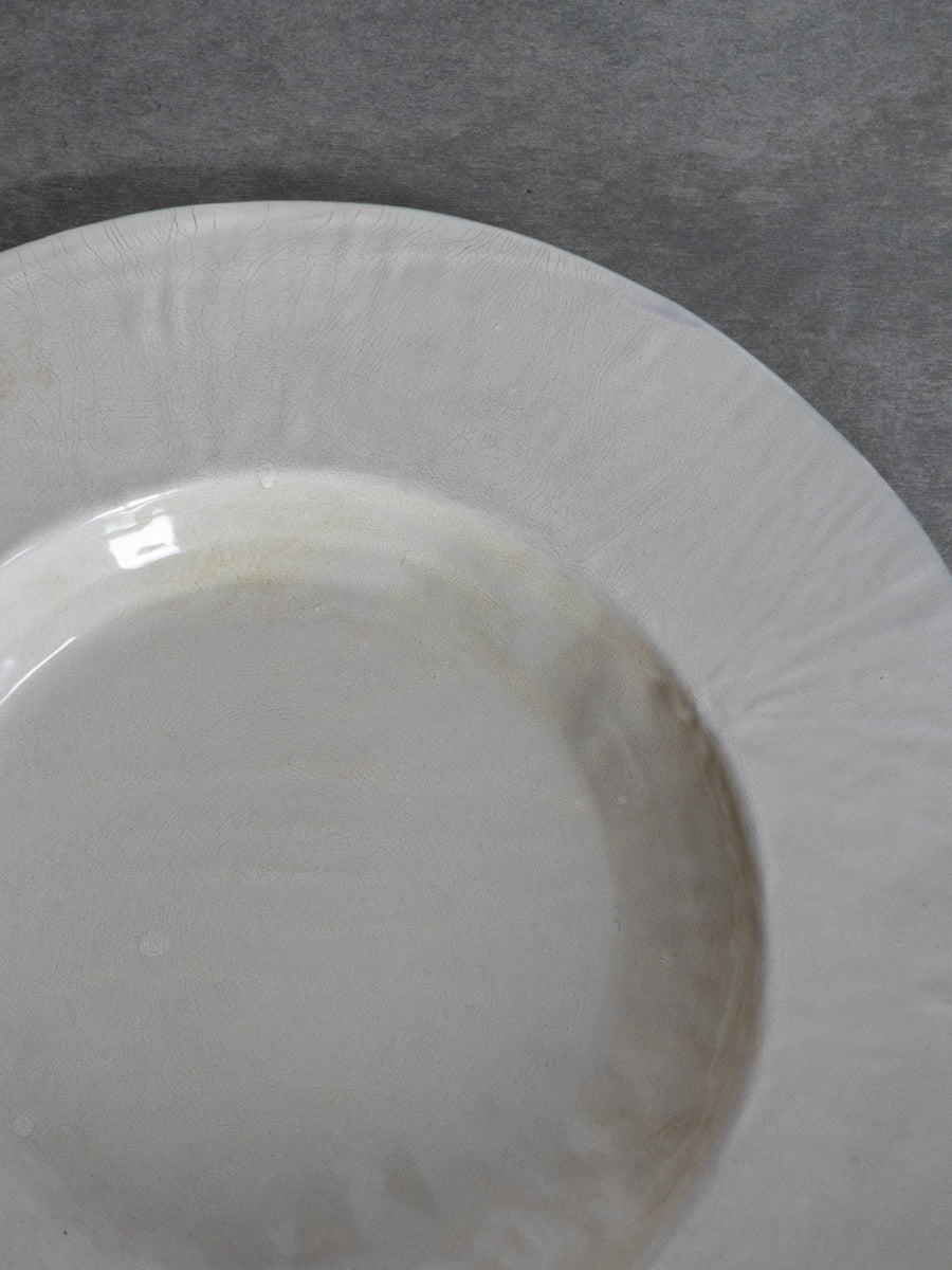 パスタ皿 白枯