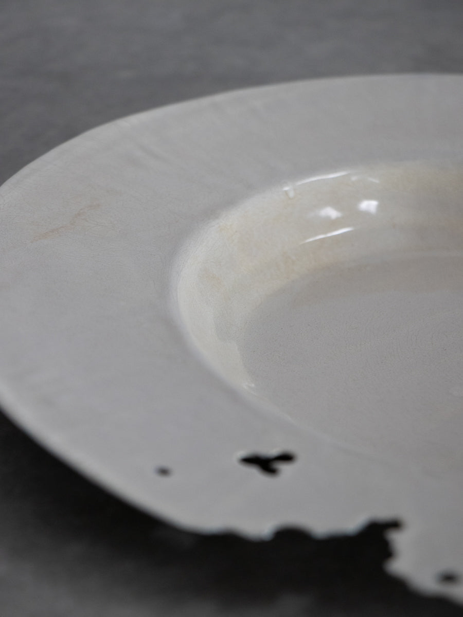パスタ皿 白枯