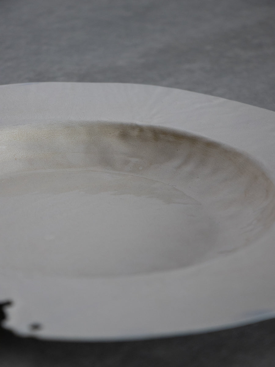 パスタ皿 白枯