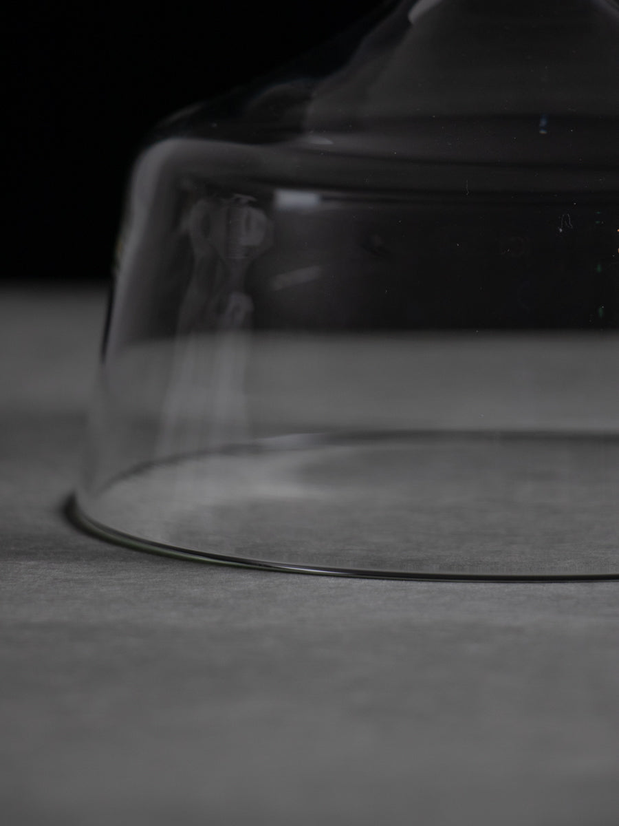 サーカスドームM