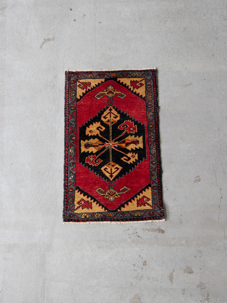YYD-22 turkey