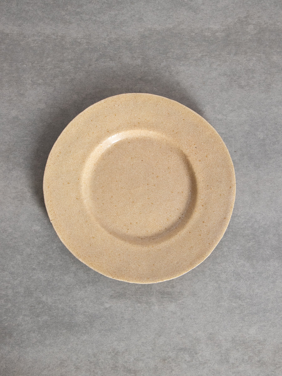 灰釉8.5寸ワイドリム皿