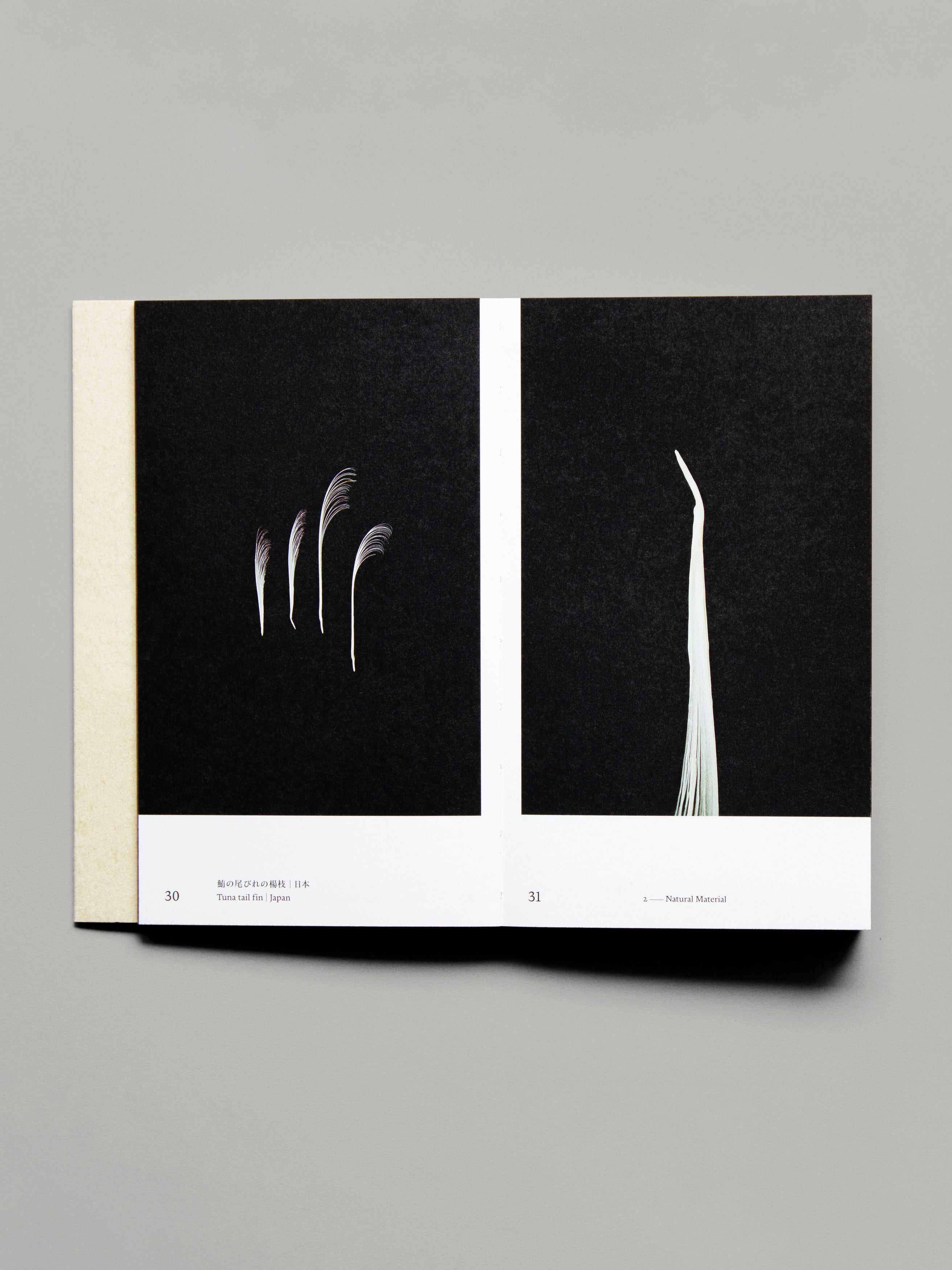 TOOTHPICKS / つまようじ　The Osamu Inaba Collection Archives
