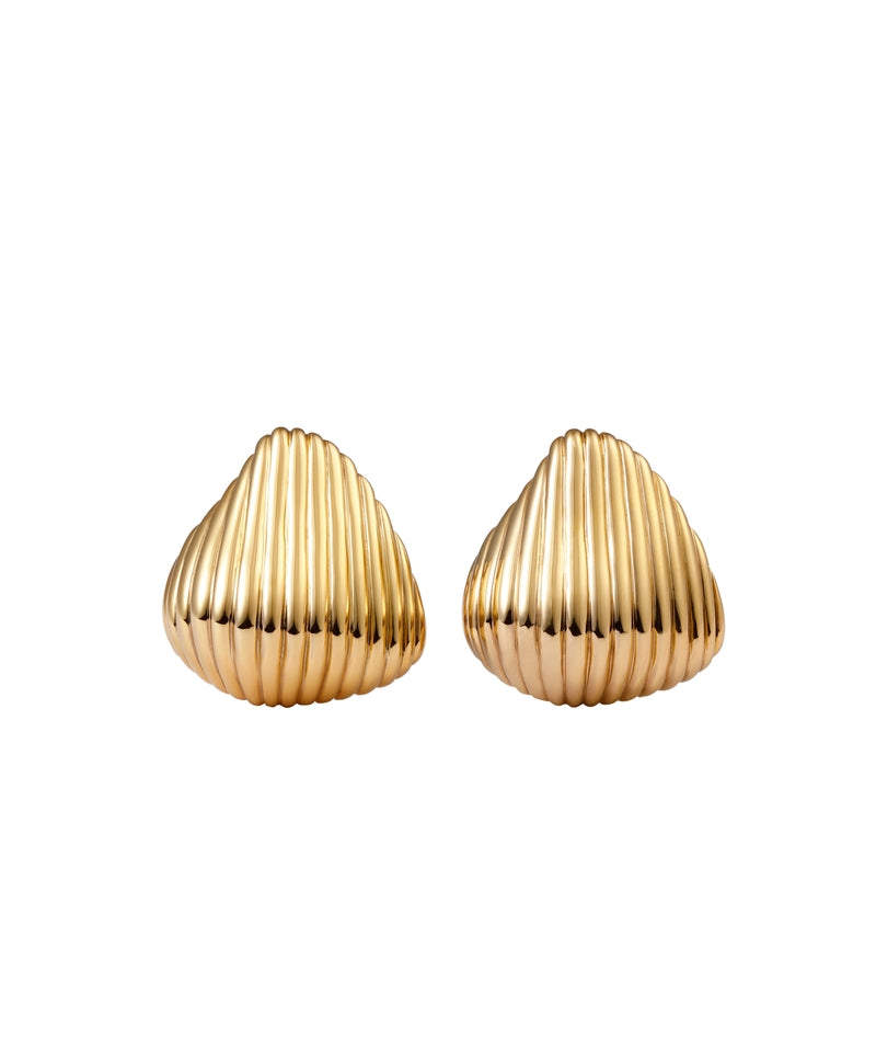 Big Shell Earrings /GOLD