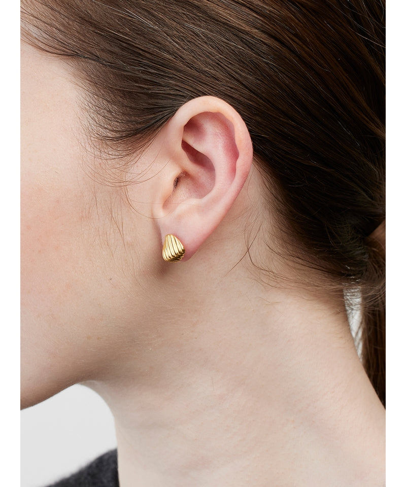 Small Shell Earrings /GOLD